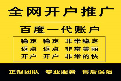 专业sem竞价托管服务，案例解析提升广告效果
